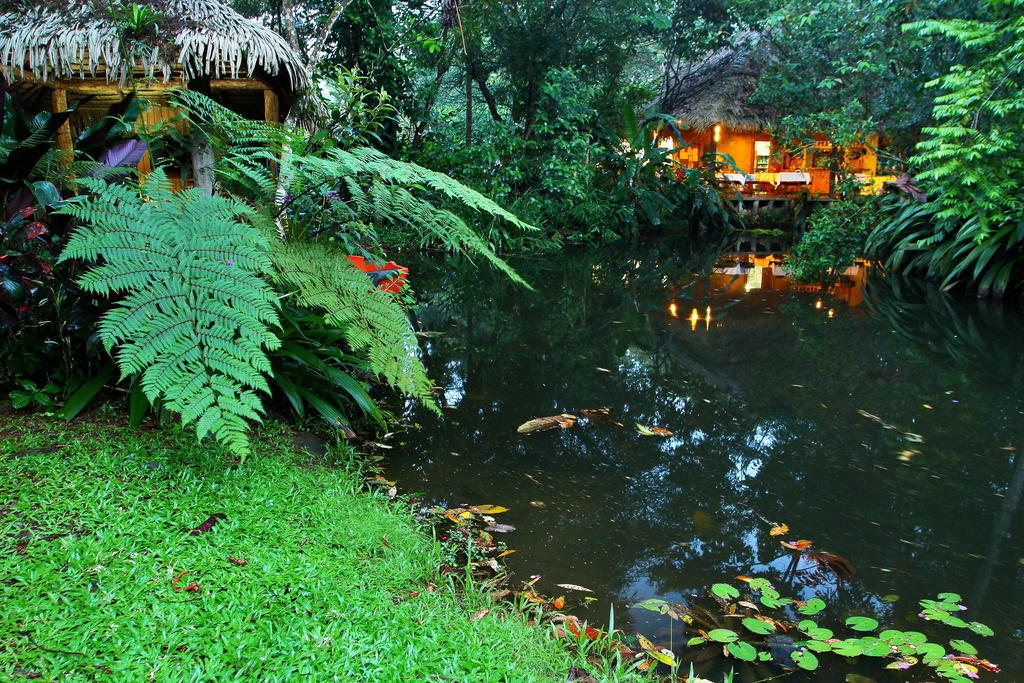 Hacienda La Isla Lodge Sarapiquí Eksteriør billede