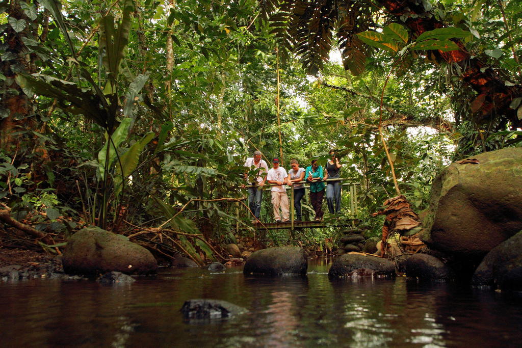 Hacienda La Isla Lodge Sarapiquí Eksteriør billede
