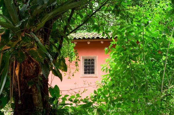 Hacienda La Isla Lodge Sarapiquí Eksteriør billede